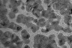 Gold lattice 1,500,000x