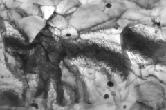 Steel with DCE Filter