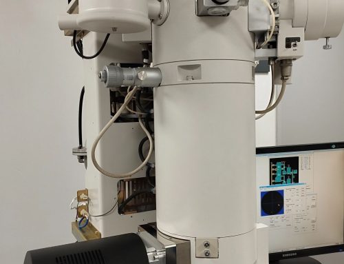 Phurona University in Korea University