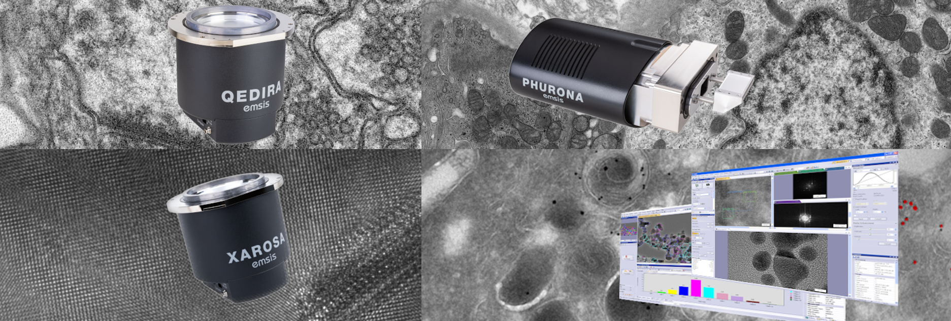 TEM Cameras & Software